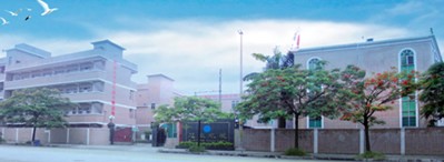 大发彩票官方app下载